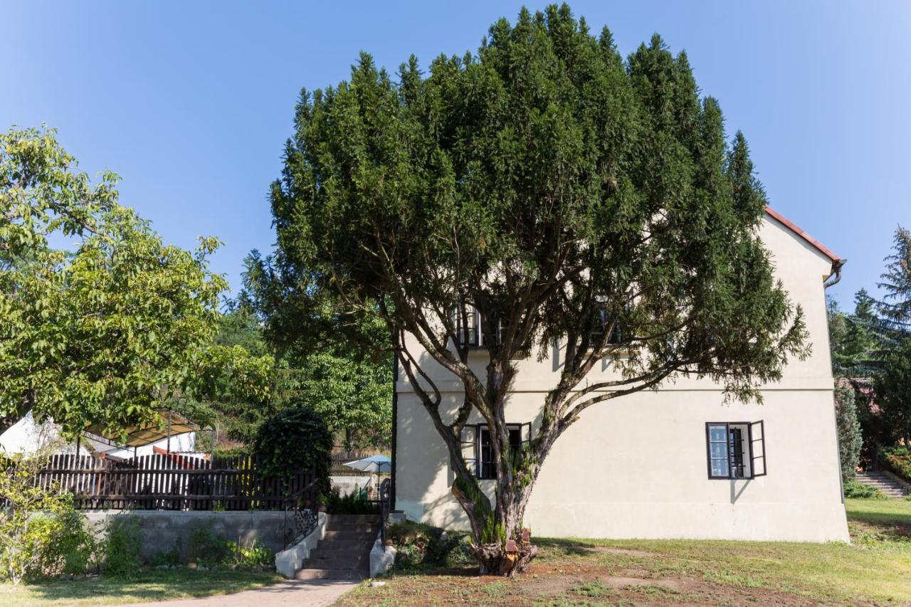 Widtman Apartment Πράγα Εξωτερικό φωτογραφία